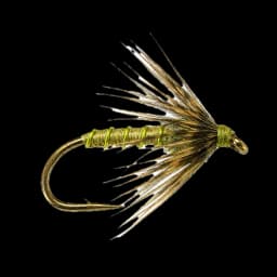 Soft Hackle Olive