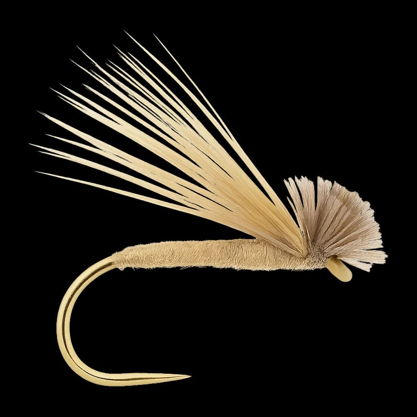 Spent Caddis