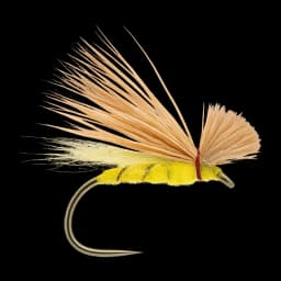 Split-wing CDC & Elk (yellow)