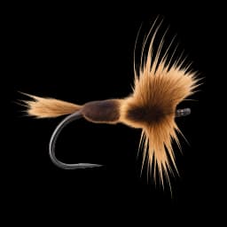Steelhead Bee