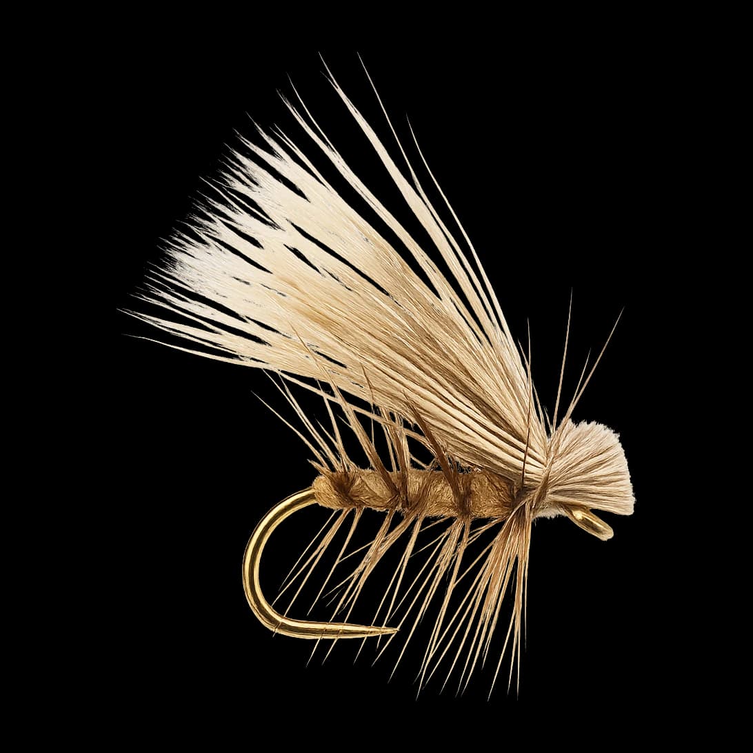 Stenopsyche Caddis (large)