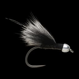 Stirða