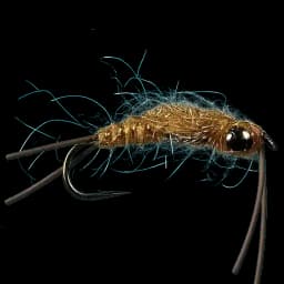 Barbel Stonefly Nymph