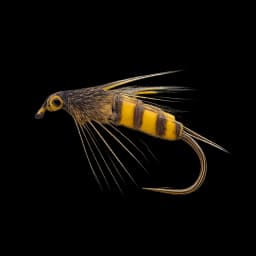 Tellico Nymph