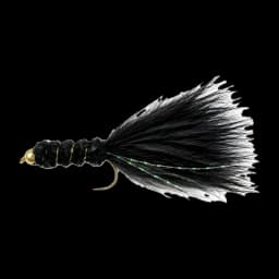 Black Tadpole
