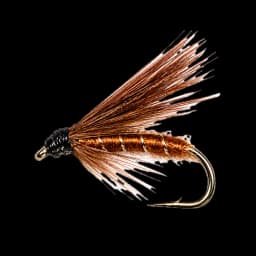 Fiery Brown (Connemara)