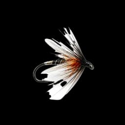 Duck Fly