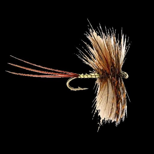 Spent Gnat / Spent Mayfly