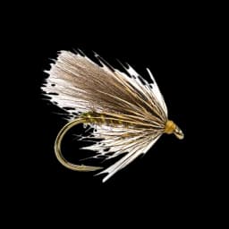 Sèdge du Soir (Pyrenean evening sedge)