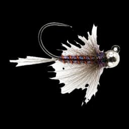 Tungsten Jig Nymph
