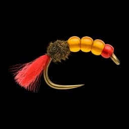 Two Tone Silica Shrimp