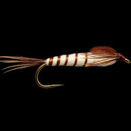 Walker's Mayfly Nymph