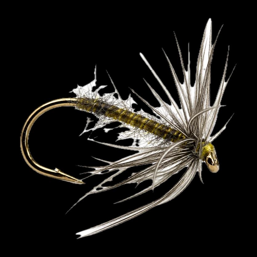 Waterhen Bloa