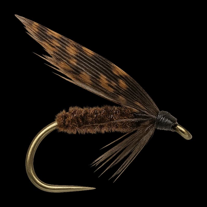 Wet Alder