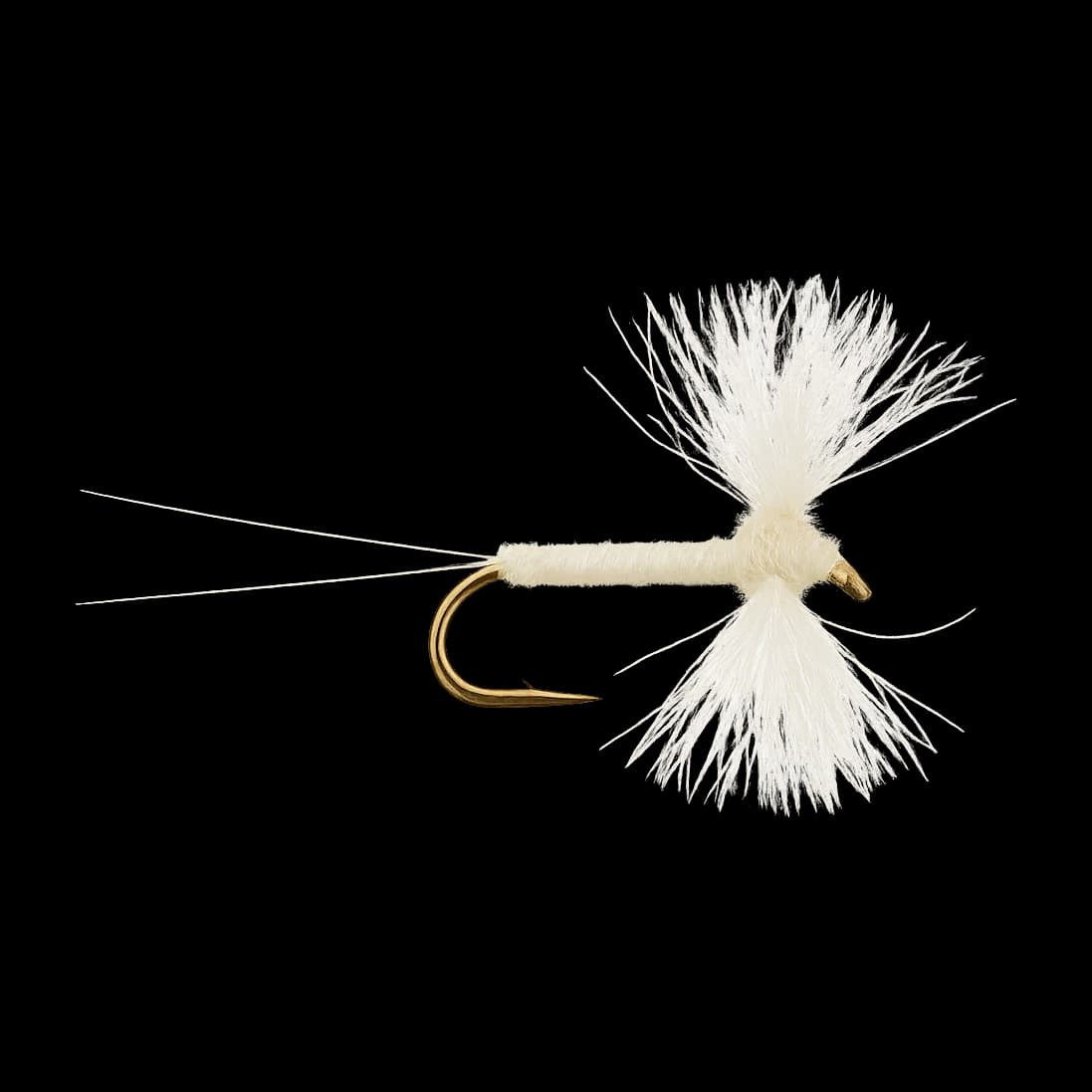White Fly Spinner