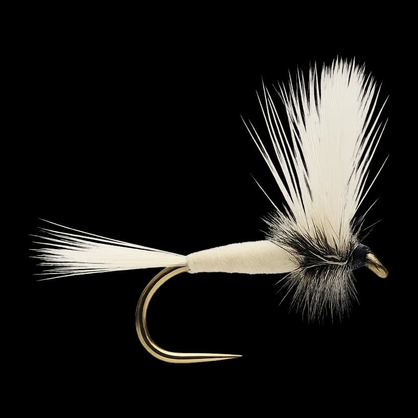 White Wulff