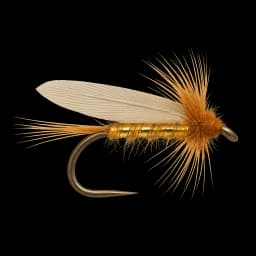 Dry Wickham's Fancy