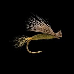 X-Caddis