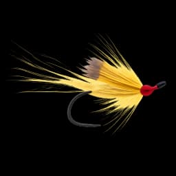 Yellow Ally