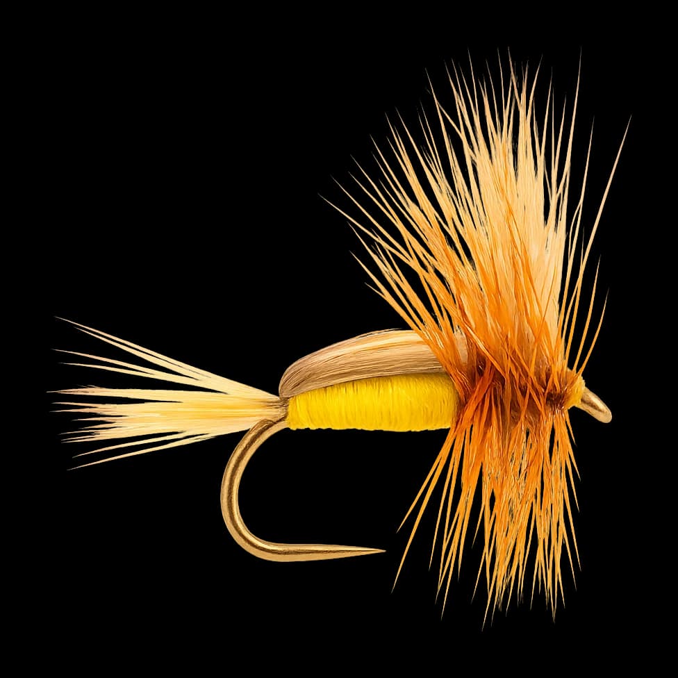 Yellow Humpy
