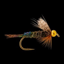 Zug Bug