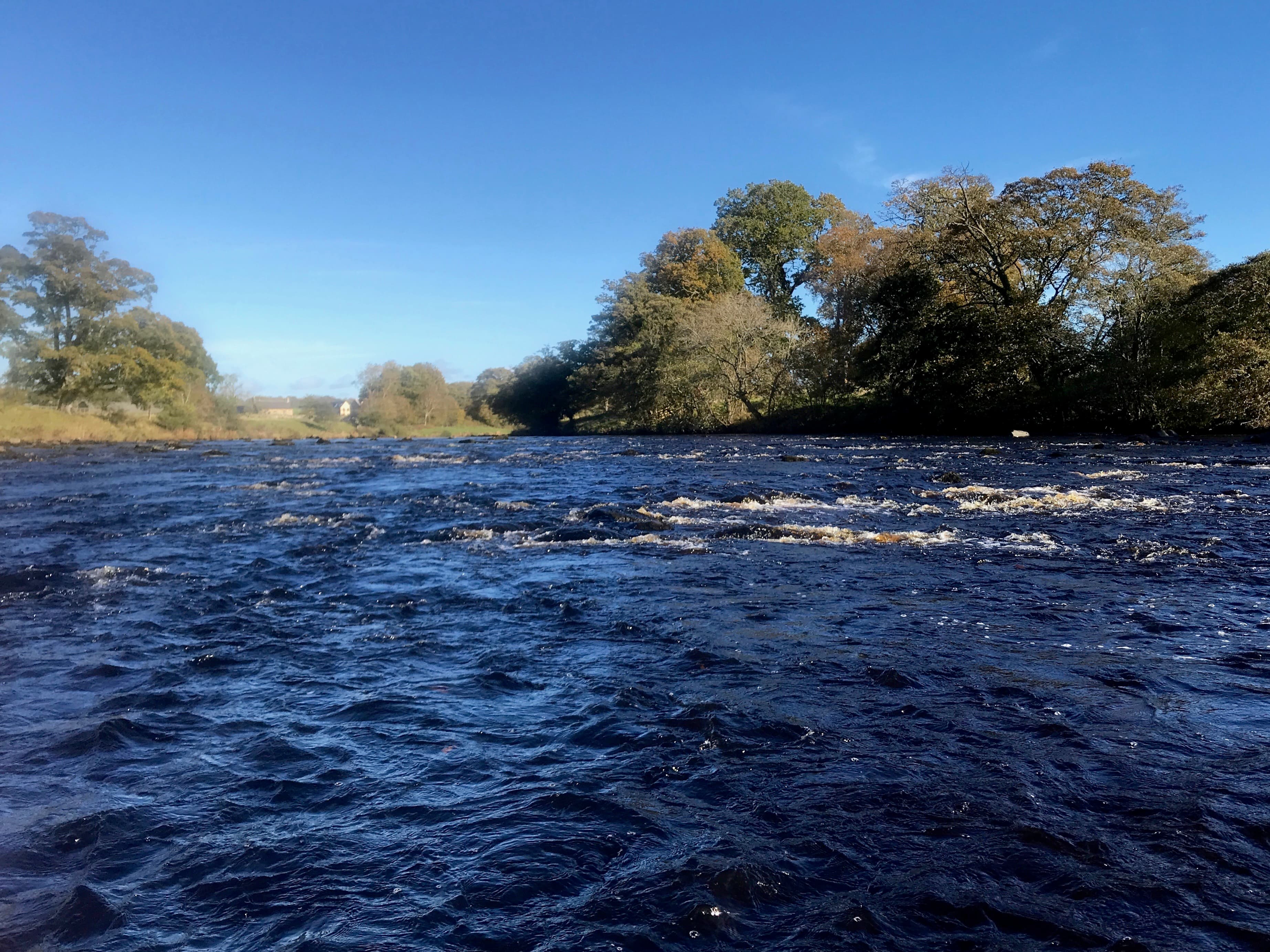 Atlantic salmon pool in autumn