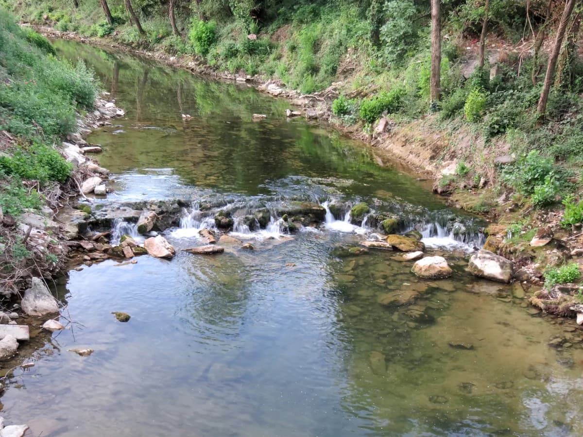 Rižana — Rižana River, Rižana, Slovenia
