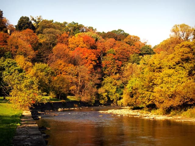 Humber — Autumn at Humber River