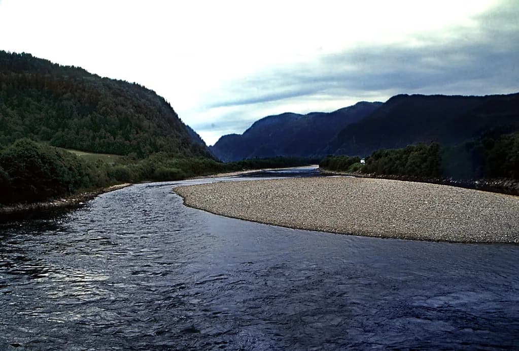 Wide gravel-bedded river flowing through a forested Norwegian valley with mountains in the background.
