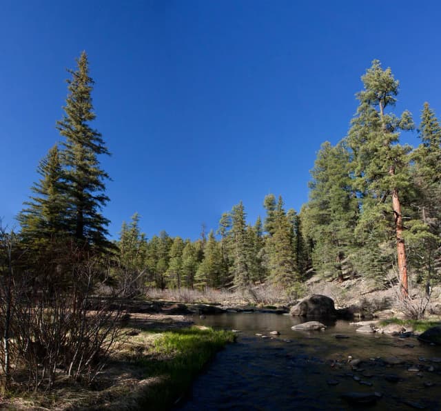 Clear mountain stream flowing through boulders and pine forest, East Fork of the Black River, Arizona White Mountains.
