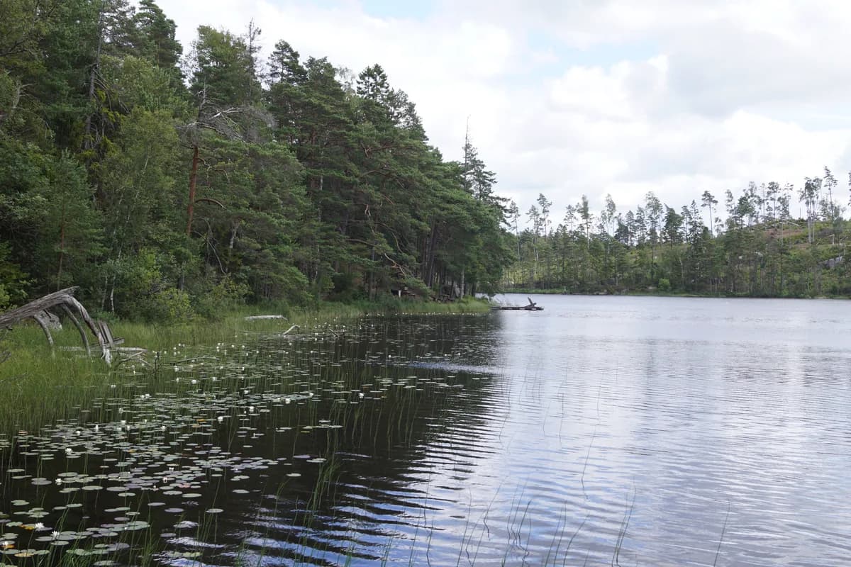Ottersjön — Ottersjön, a lake in Ale Municipality, Sweden