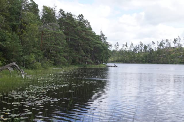 Ottersjön — Ottersjön, a lake in Ale Municipality, Sweden