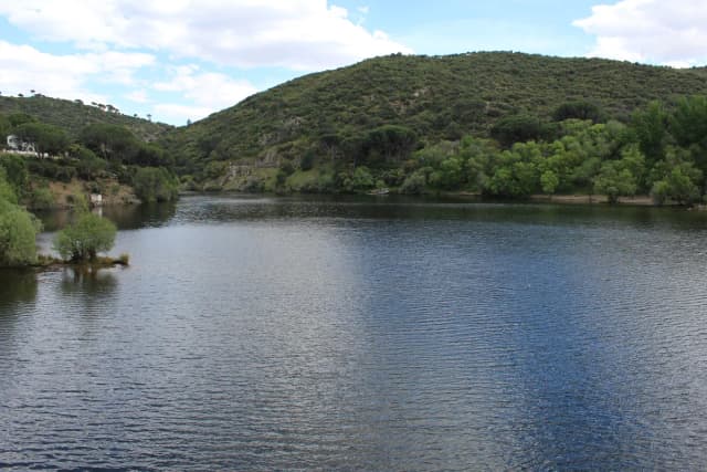 Embalse de Picadas — Cola del embalse de Picadas 001