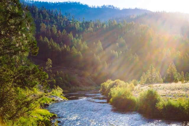 Wide view of the Klamath River flowing through a forested canyon in Siskiyou County, California, with evening sunlight through pine trees