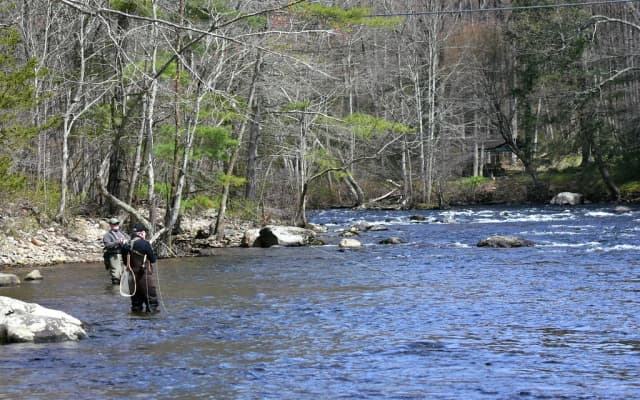 Two anglers wading and fly fishing in the Farmington River, Connecticut, with riffling current and wooded banks.