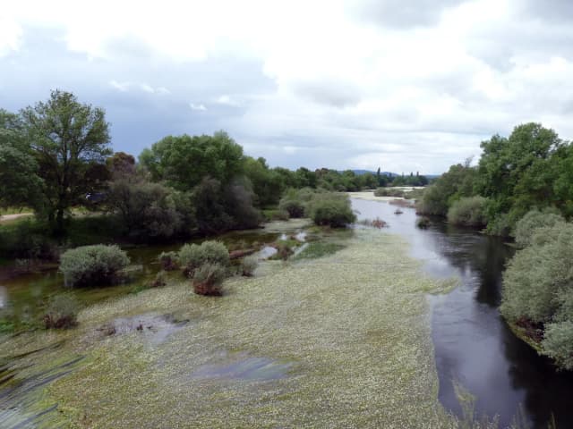 Río Tiétar — Río Tiétar desde AV-920