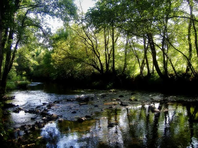 Río Furelos — Cae a tarde no río Furelos