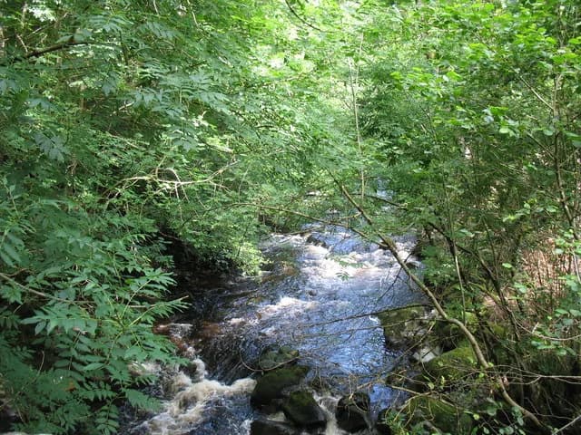 The Afon Eden, a rocky Welsh river, flowing through woodland near Ganllwyd in Gwynedd