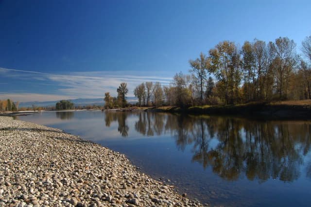 Calm stretch of the Bitterroot River with a gravel bar in the foreground and cottonwood trees along the far bank, near Victor, Montana.