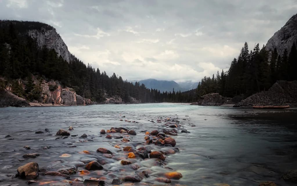 Bow River — Calgary (Bearspaw to Policeman's Flats) — #5664 Bow River Canada