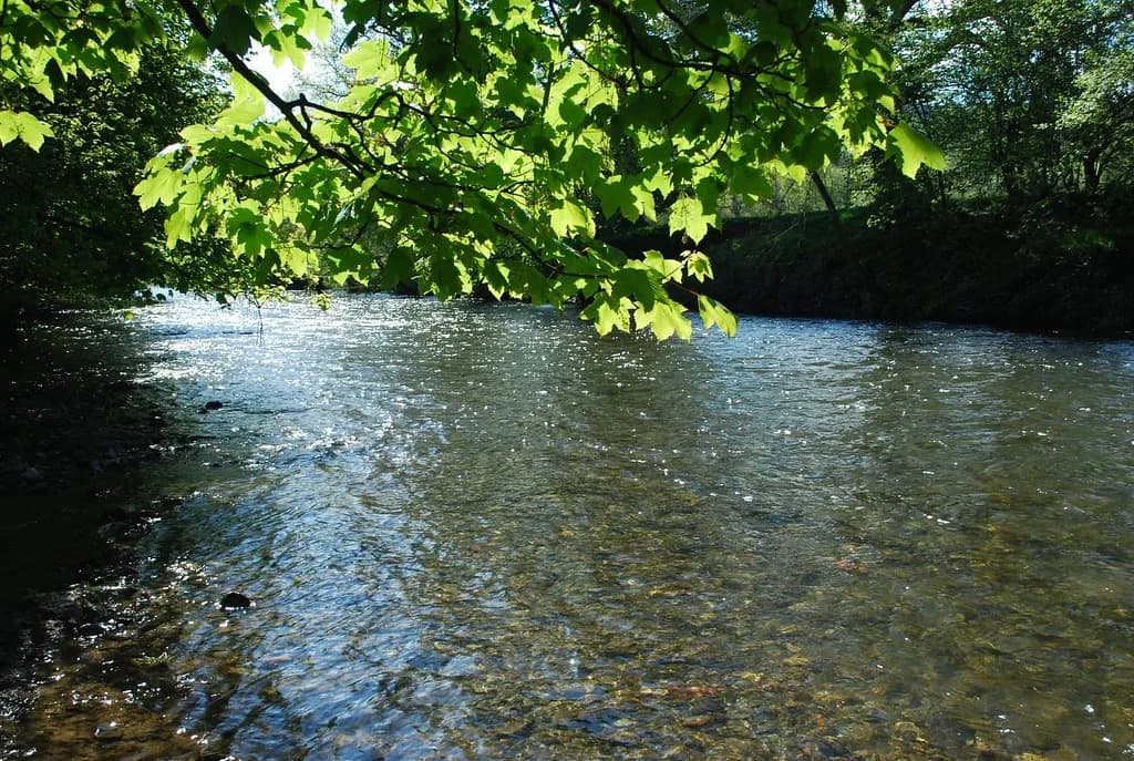 Sunlit clear water of the River Irfon flowing over a shallow gravel riverbed, framed by overhanging tree branches.