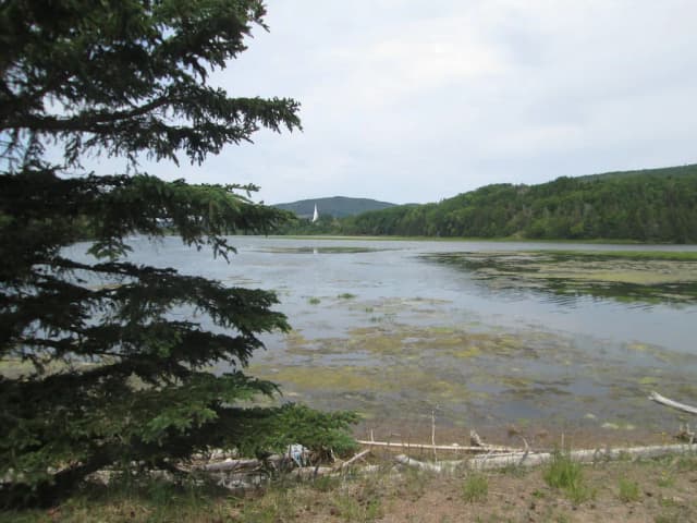 Wide tidal river and salt marsh with spruce trees and a distant white church steeple near Mabou, Cape Breton, Nova Scotia.