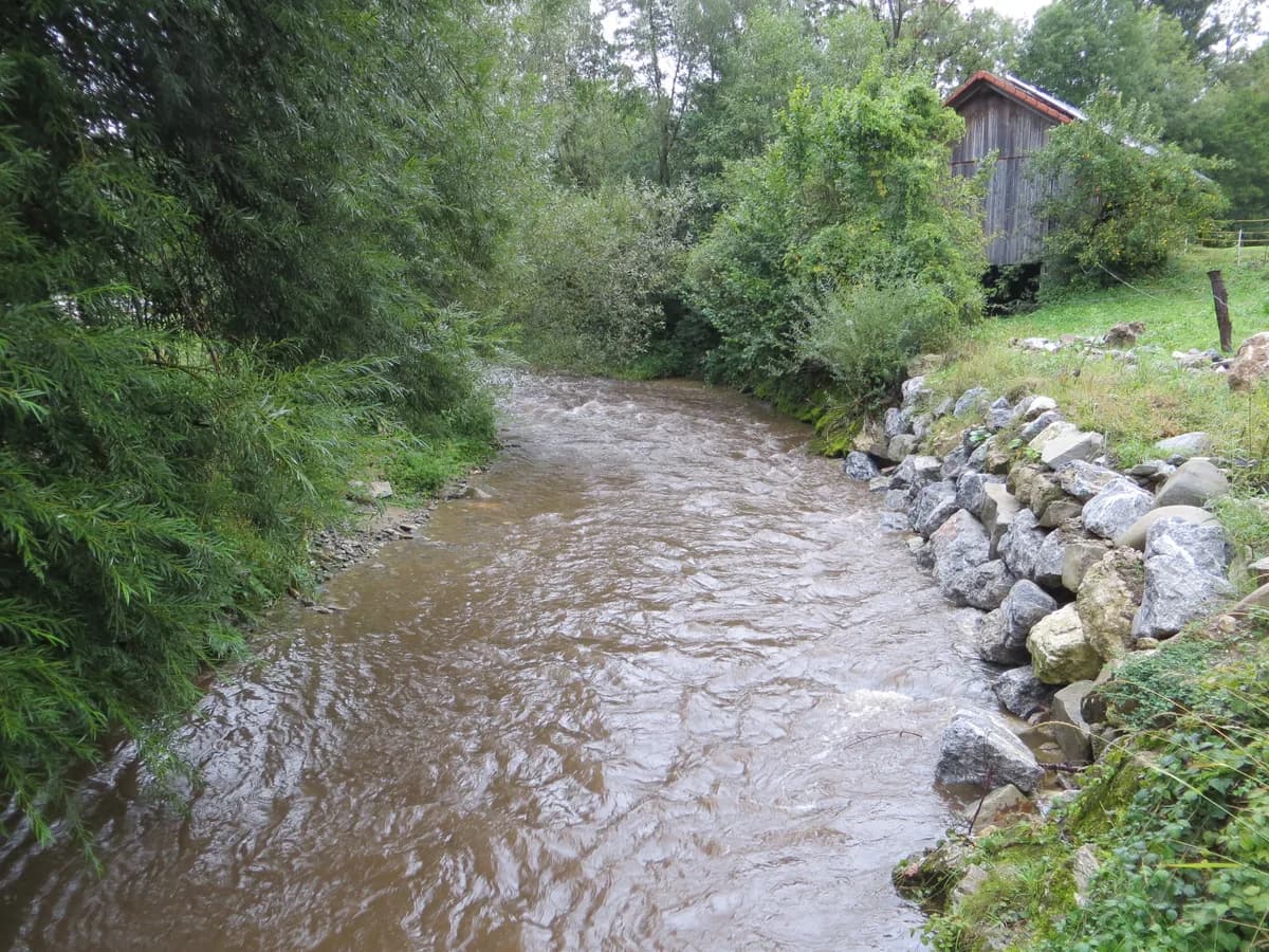 Mislinja — Dovže, Slovenia - Mislinja River
