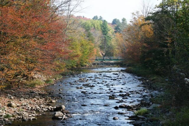 The Beaverkill stream running over cobblestones in fall foliage, with a wooden footbridge in the background, Catskills, New York.