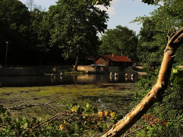 A calm spring-fed pool with anglers wading near a wooden hatchery lodge, surrounded by dense green trees