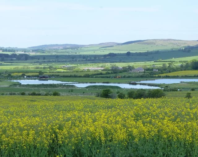 Wide view over rolling Northumberland farmland with the two stocked lakes of Chatton Trout Fishery visible in the valley below, hills in the background