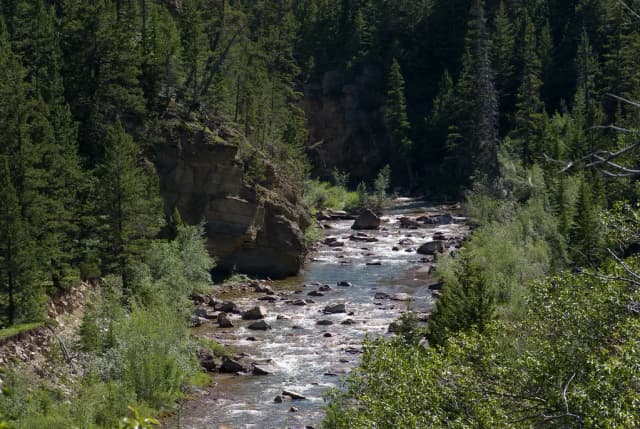A rocky, fast-flowing stretch of the Dearborn River winding between pine-covered canyon walls in Montana.