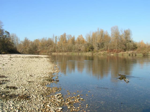 A wide, calm stretch of the River Ain with a gravel bank in the foreground and autumn trees lining the far bank, in the Ain department, France.