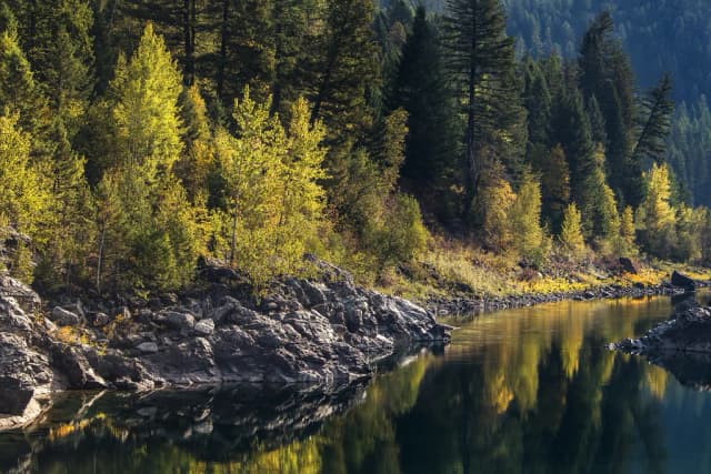 A calm, glassy stretch of the Flathead River lined with rocky banks and autumn-coloured trees near Glacier National Park, Montana.