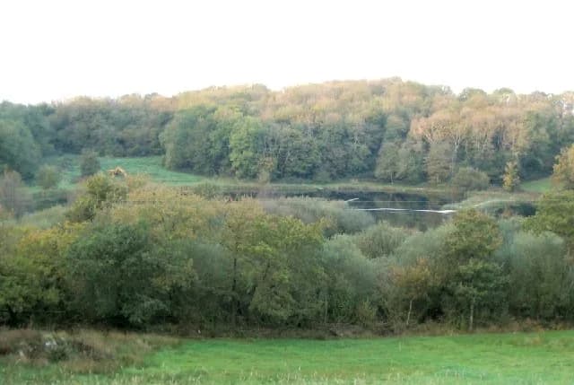 Garnffrwd Lake, a wooded trout fishery lake near Porthyrhyd, Carmarthenshire, Wales